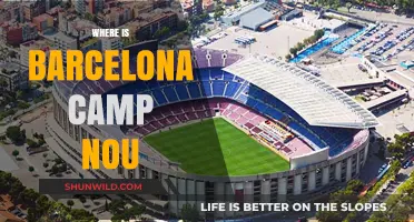 Exploring Camp Nou: A Guide to Barcelona's Iconic Stadium