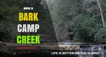 Exploring the Hidden Gem: Bark Camp Creek's Serene Escape