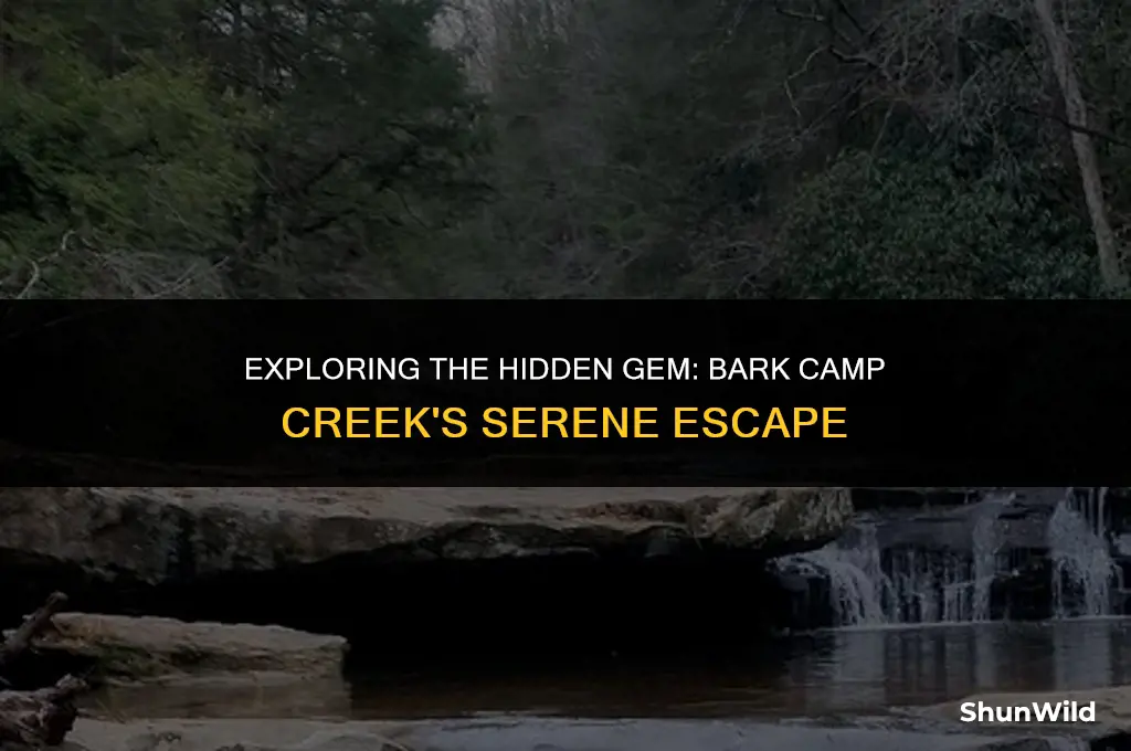 where is bark camp creek