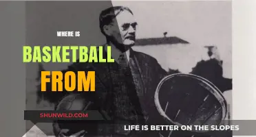 The Birthplace of Basketball: Where it All Began
