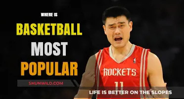 Basketball's Most Popular Regions: Where the Hoops Are Hot