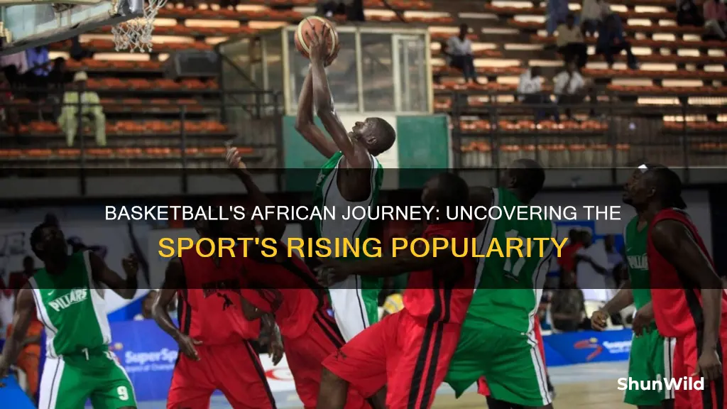 where is basketball ranked in popularity in africa