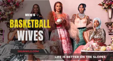 Basketball Wives: Where Are They Now?