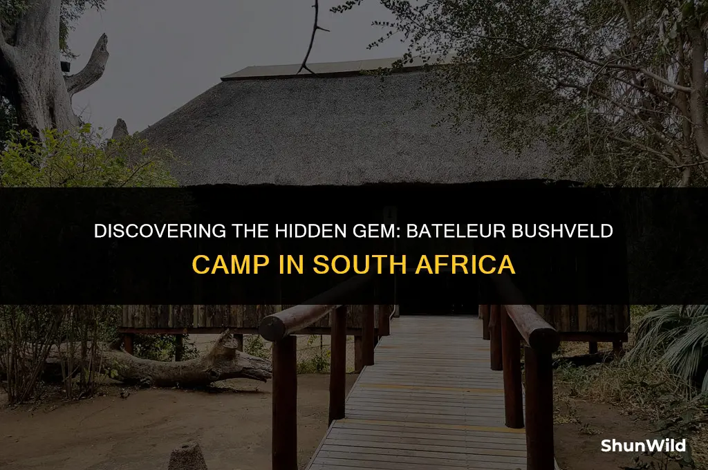 where is bateleur bushveld camp