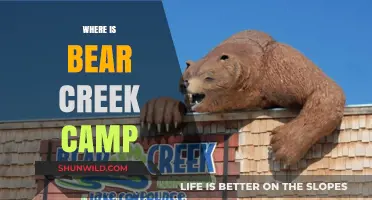 Discovering the Hidden Gem: Bear Creek Camp's Serene Location