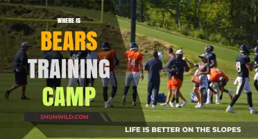Discover the Location of Bears Training Camp: A Comprehensive Guide