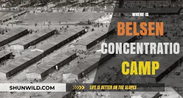 Uncovering the Location of Belsen Concentration Camp: A Historical Guide