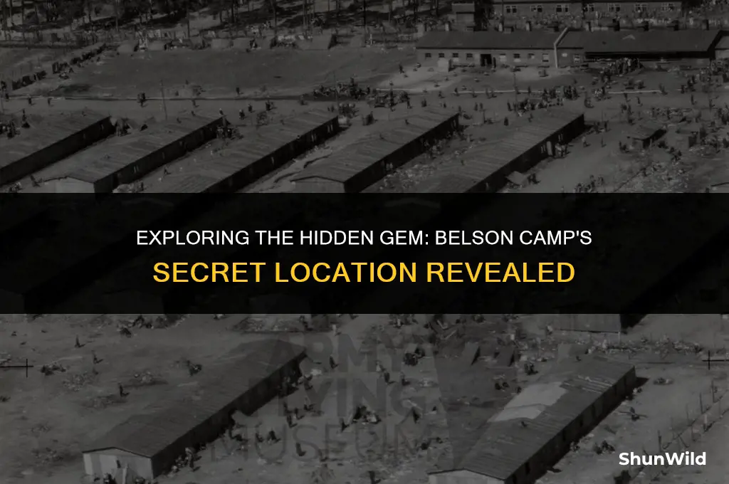where is belson camp