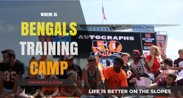 Bengals Training Camp Location: Where to Watch the Team Prepare