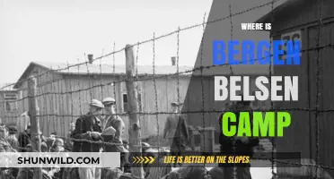 Unveiling the Haunting Legacy of Bergen-Belsen Concentration Camp