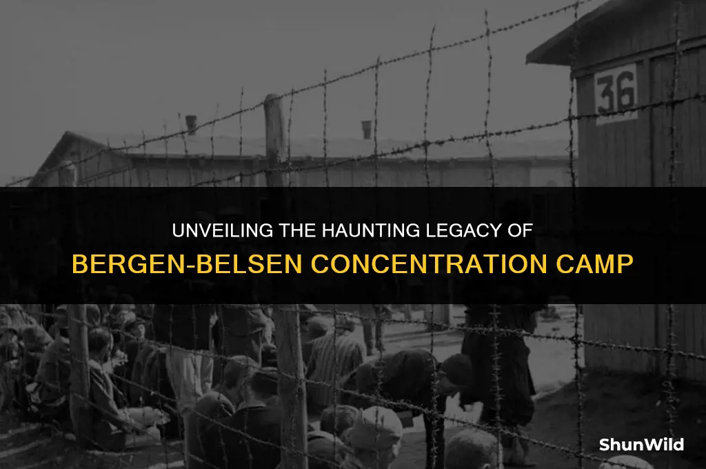 where is bergen belsen camp