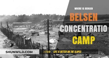 Locating Bergen-Belsen: A Historical Journey to the Concentration Camp