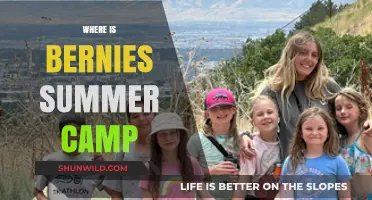 Bernie's Summer Camp: Unveiling the Ultimate Kid's Paradise!