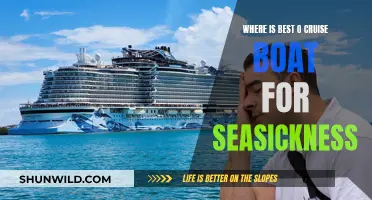 Best Cruise Boats for Seasickness-Free Sailing