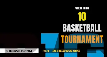 Big 10 Basketball Tournament: Where, When, and What to Expect