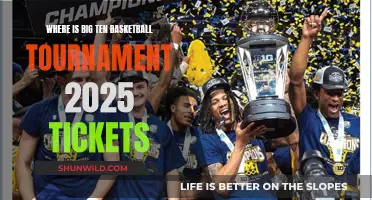 Big Ten Basketball 2025: Ticket Sales and Venues
