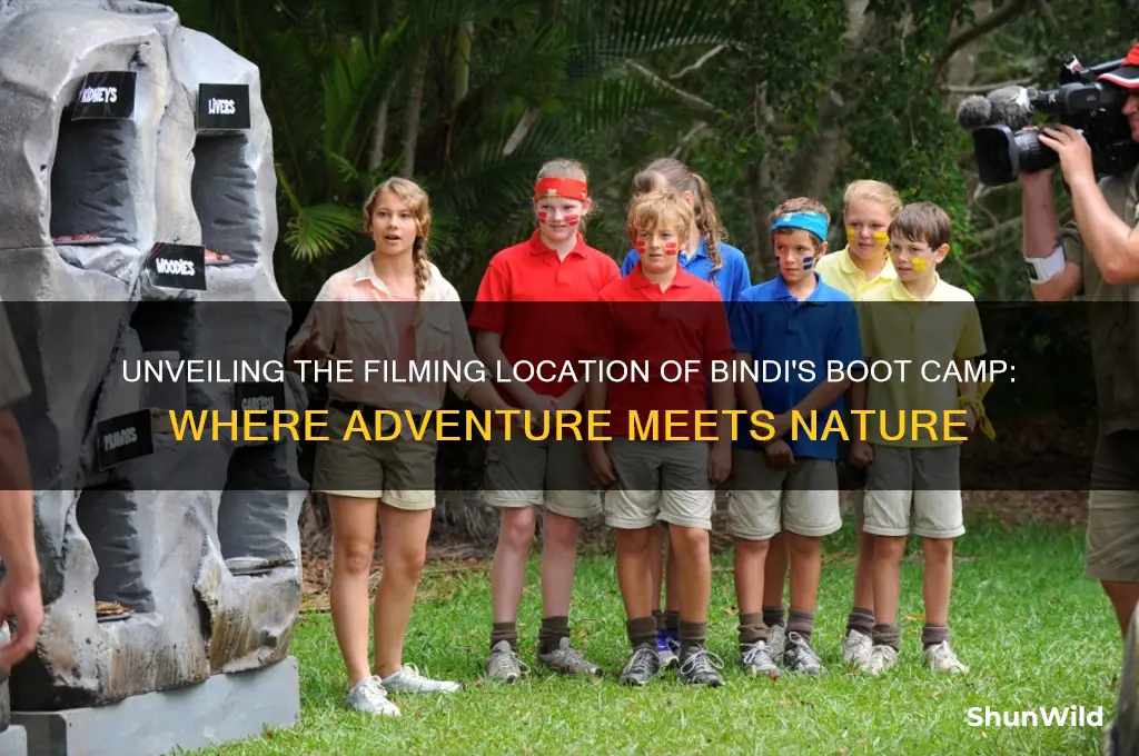 where is bindis boot camp filmed
