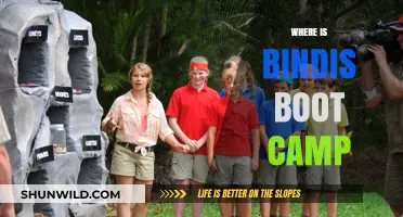 Where is Bindi's Boot Camp? Uncovering the Location of the Adventure Series