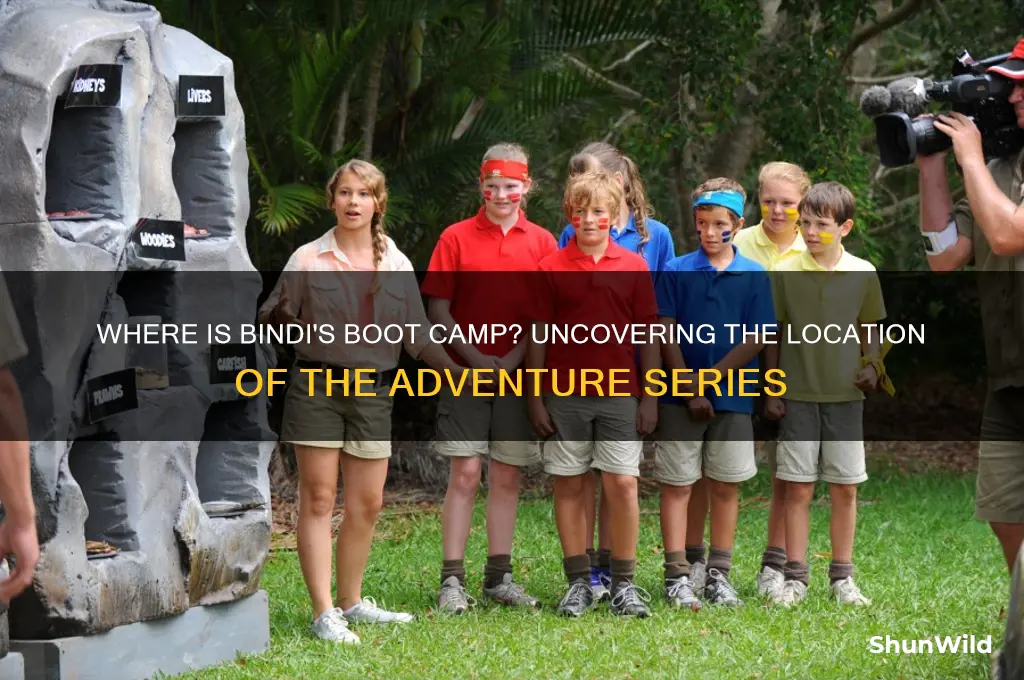where is bindis boot camp