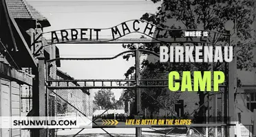 Unveiling the Haunting Legacy of Birkenau: A Journey Through History