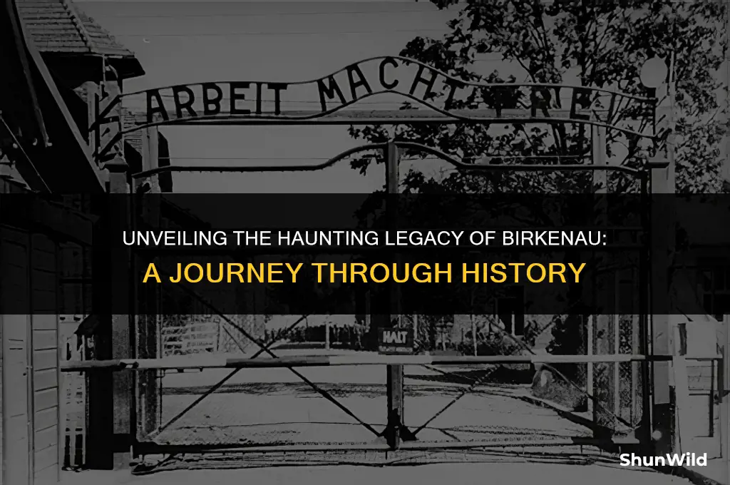 where is birkenau camp