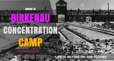 Birkenau Concentration Camp: Location, History, and Memorial Site Guide