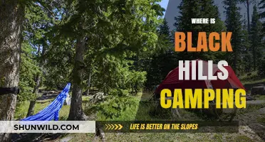Discover the Best Camping Spots in the Black Hills: A Guide