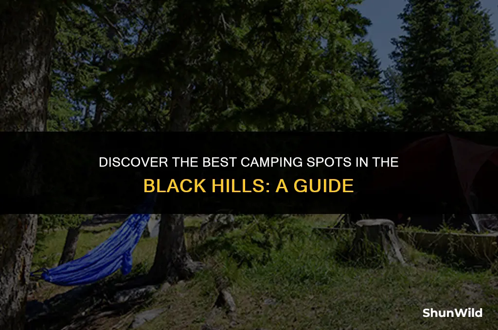 where is black hills camping
