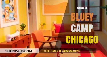 Exploring the Windy City: A Guide to Bluey Camp Chicago
