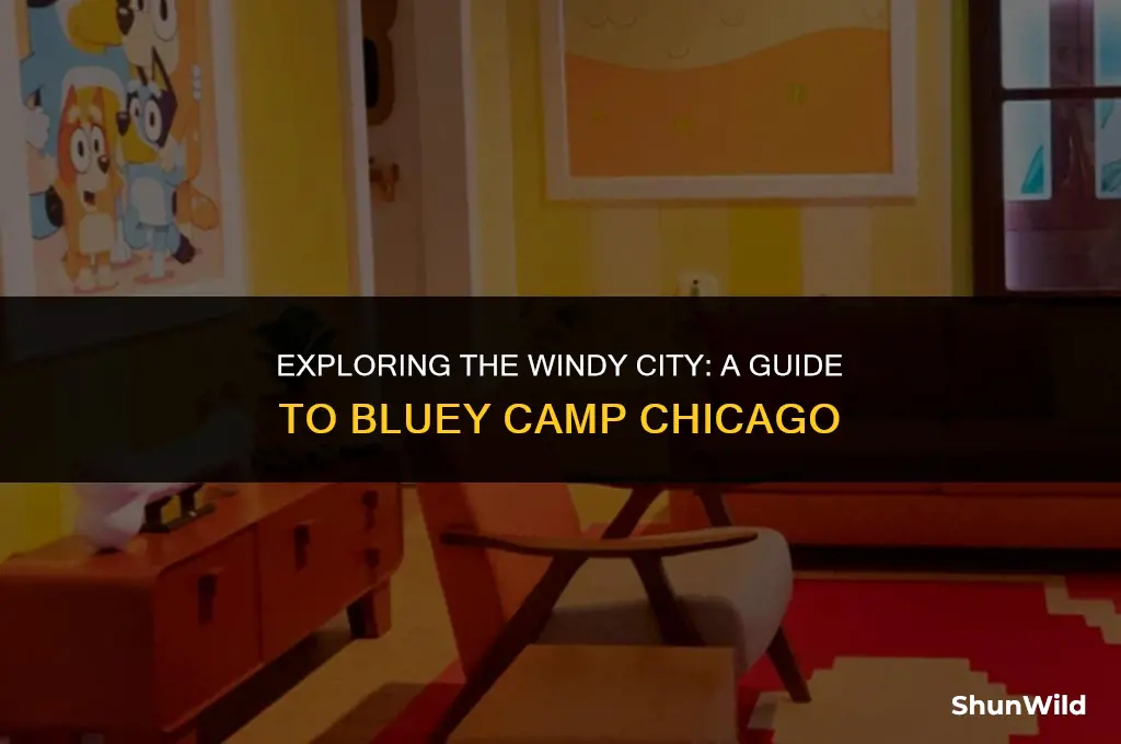where is bluey camp chicago