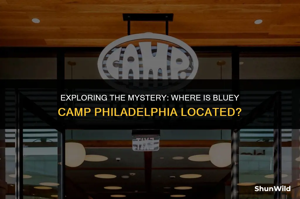 where is bluey camp philadelphia
