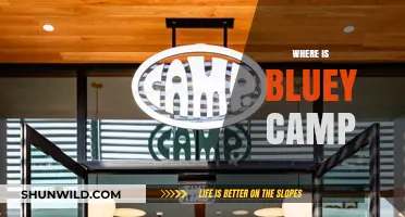 Exploring the Enchanting Bluey Camp: A Family's Guide to Fun and Adventure