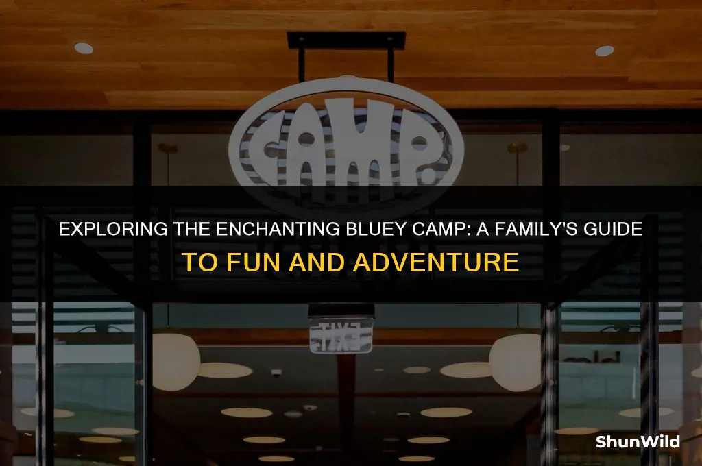 where is bluey camp