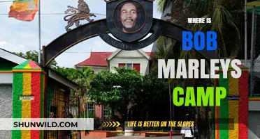 Exploring the Legendary Bob Marley Camp: A Journey to Jamaica's Musical Mecca