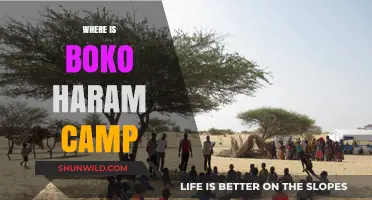 Unveiling the Hidden: A Deep Dive into Boko Haram's Camps