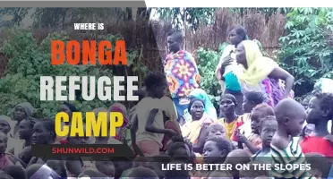 Unveiling the Location and Conditions of Bonga Refugee Camp
