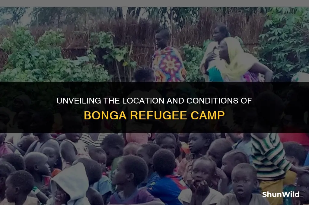 where is bonga refugee camp