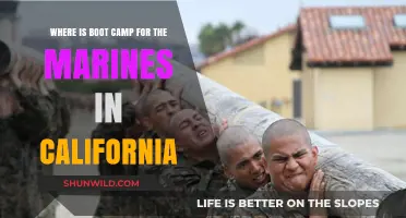 Discovering California's Marine Boot Camp Location: A Comprehensive Guide