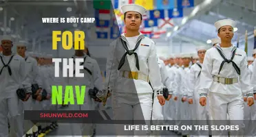 Where to Find Navy Boot Camp: Locations and Training Insights