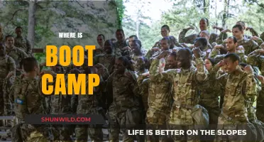 Where is Boot Camp? Discover Locations and Programs Near You