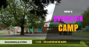 Exploring Bovington Camp: A Journey Through Dorset's Military History