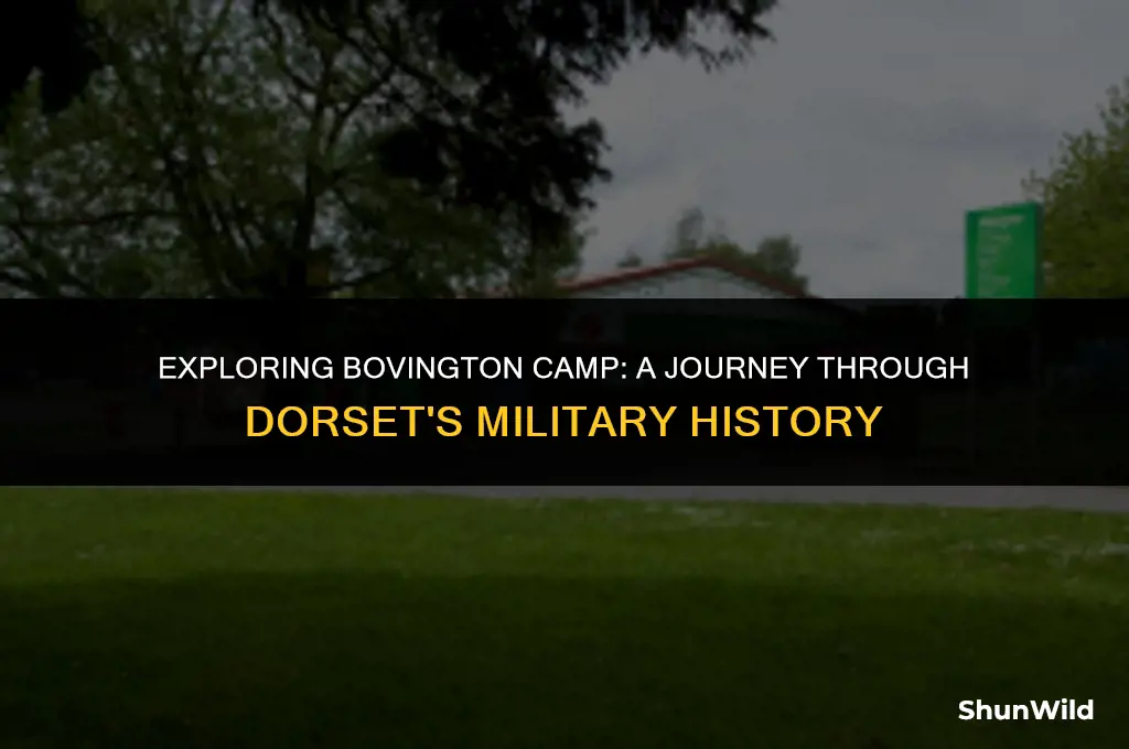 where is bovington camp