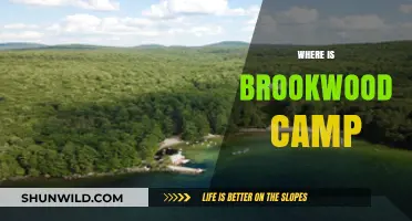Exploring the Hidden Gem: Brookwood Camp's Serene Location Revealed