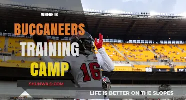 Where Buccaneers Forge Their Might: Training Camp Insights