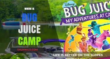 Unveiling the Mystery: Where is Bug Juice Camp Located?