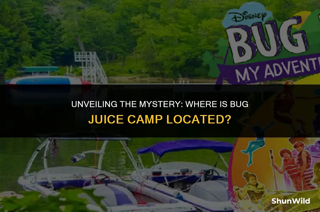 where is bug juice camp