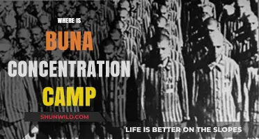 Exploring Buna Concentration Camp's Location and Historical Significance