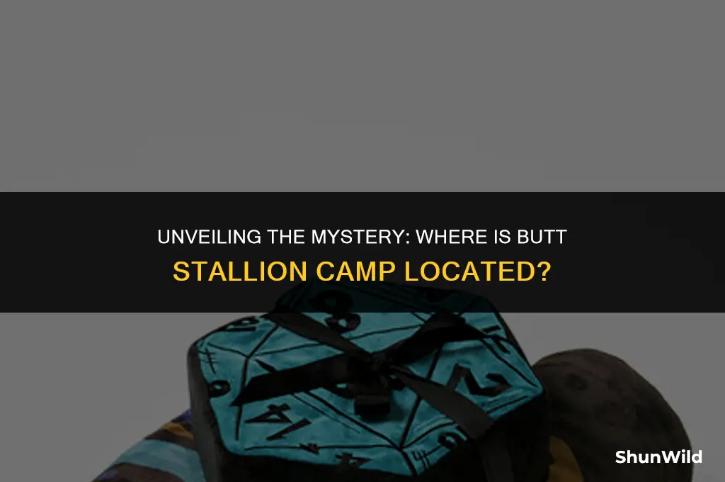 where is butt stallion camp
