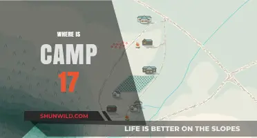 Unveiling the Mystery: Where is Camp 17 Located?