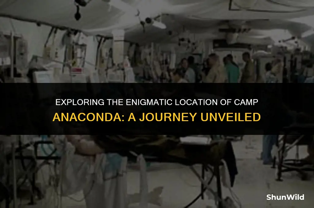 where is camp anaconda